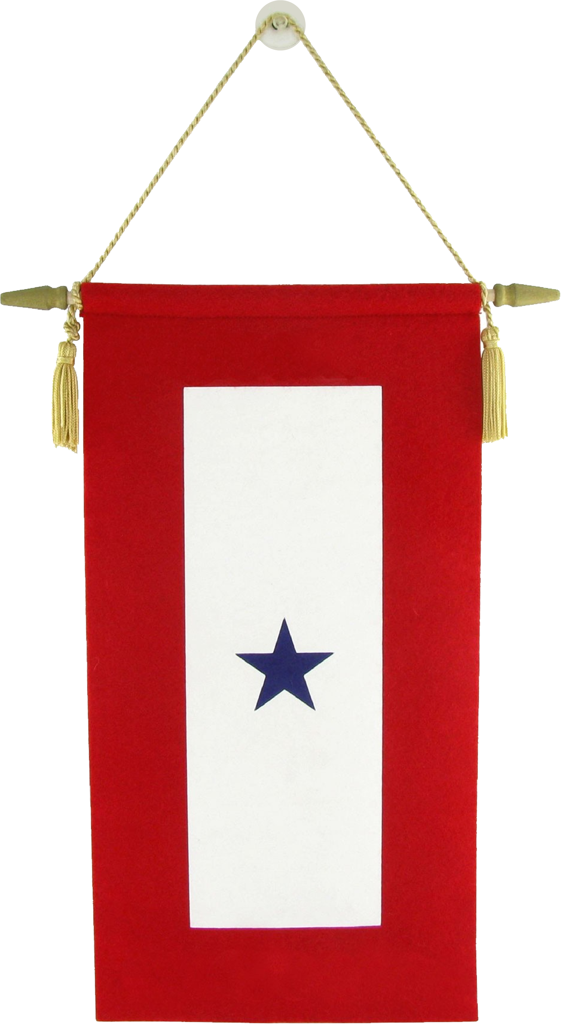the Service Flag